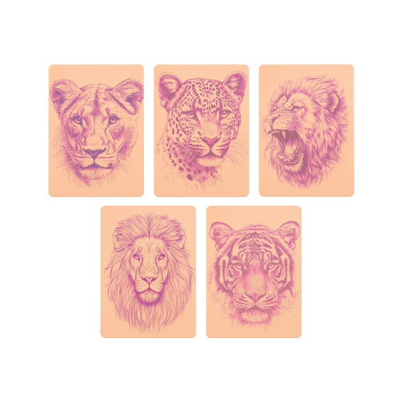 Realistic Big Cat