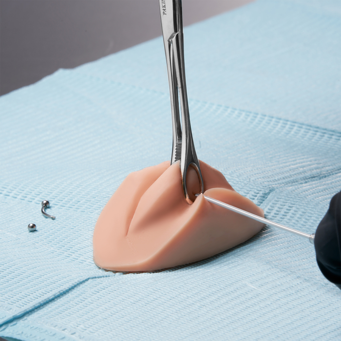 PMU Practice Lips and Piercing Body Bit di A Pound of Flesh