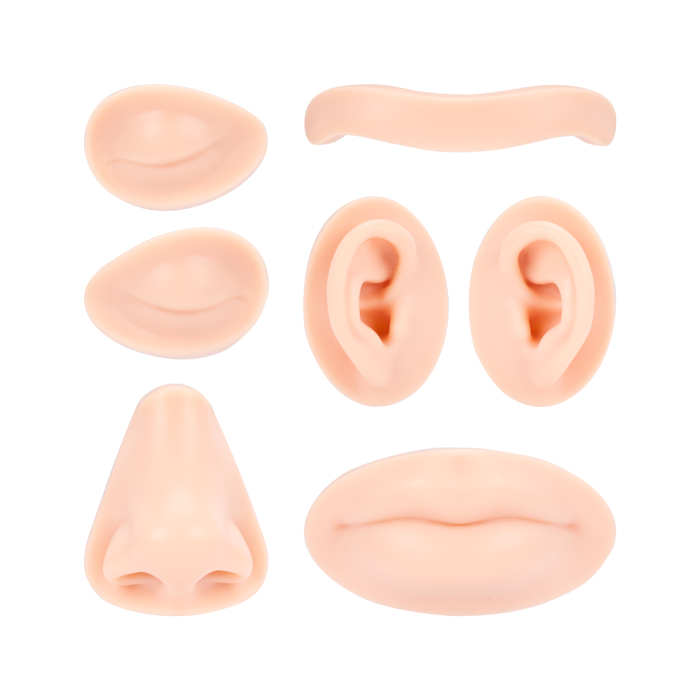 A Pound of Flesh - Parti sostituibili per testa da tatuaggio, PMU e piercing - Tonalità Fitzpatrick 2
